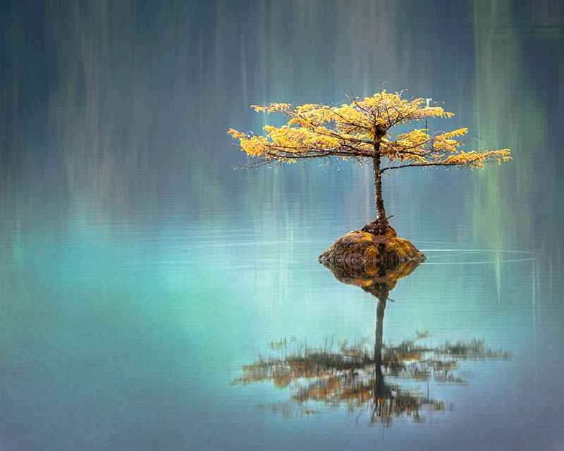 A body of water