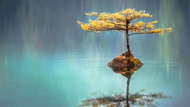 A body of water