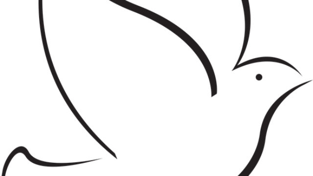 dove illustration