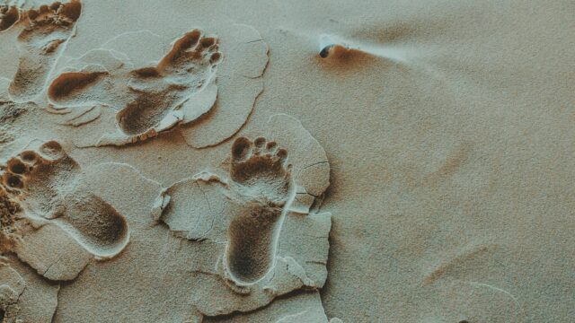 A close up of footprints in sand
